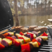 Weber TRAVELER Compact